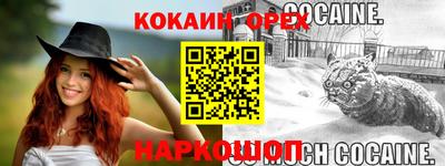стаф Боровичи